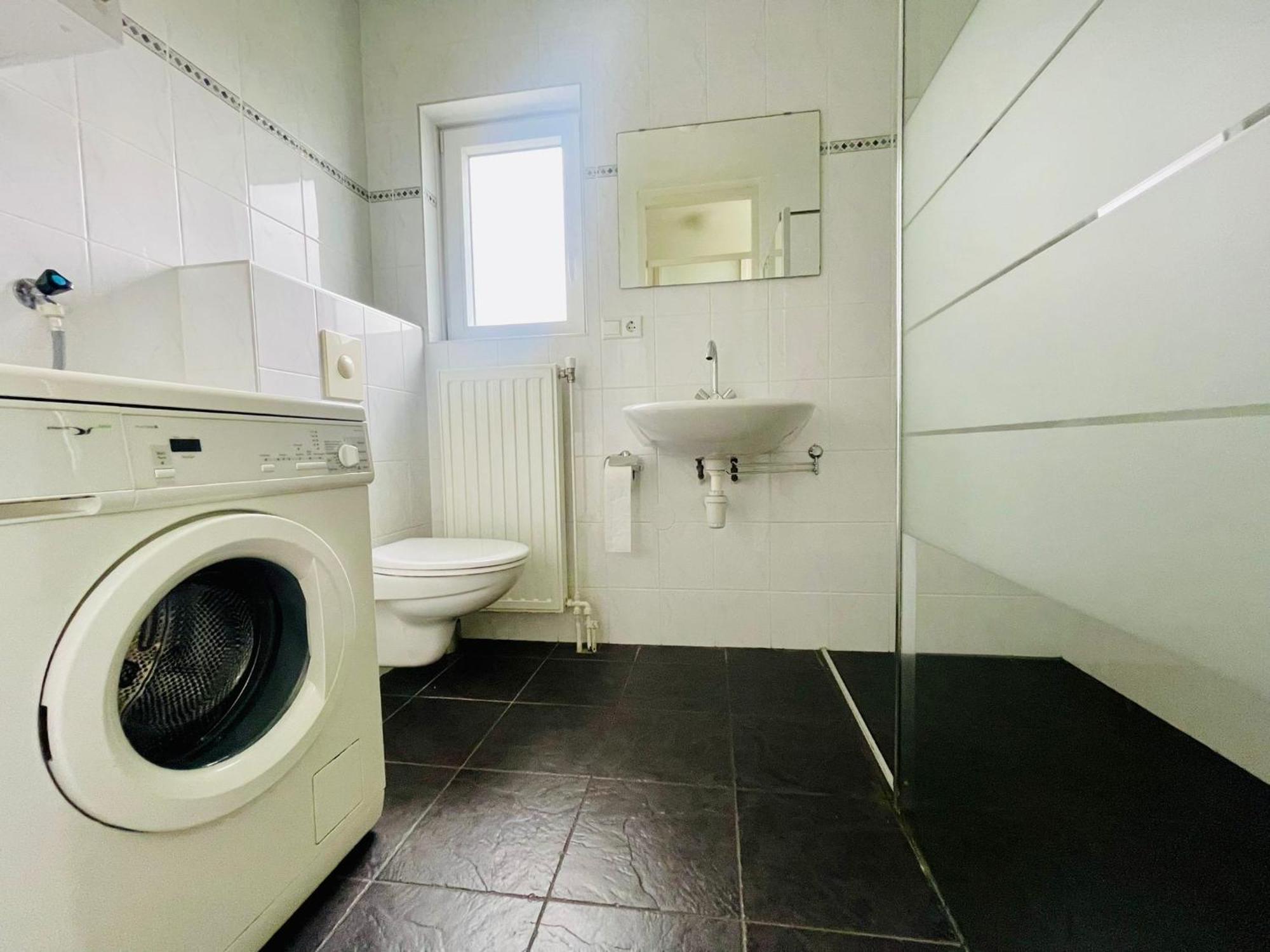Lamsoor 5* Nieuwvliet